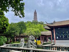 -顺峰山公园