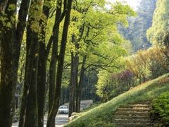 -缙云山景区