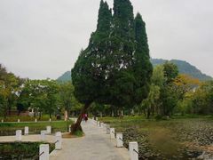 -贵阳市花溪国家城市湿地公园