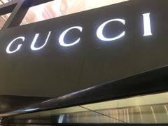 -Gucci(沈阳万象城店)
