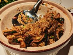 -侨美·唐荔园·40年地道粤菜