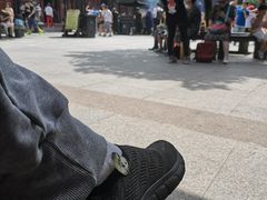 -普陀山慧济禅寺