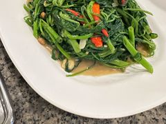 -中国城银都鱼翅酒楼