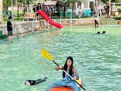 -宠乐会宠物乐园