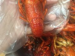 -九喜龙虾(凤城六路直营店)