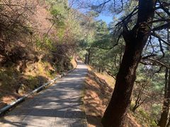 -苍山感通索道