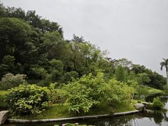 -云溪植物园