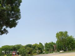 -武清南湖绿博园