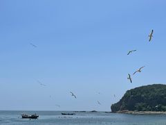 -棒棰岛宾馆景区
