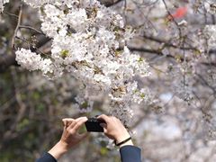 -上海南浦大桥长途旅游客运站