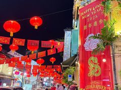 -马六甲鸡场街