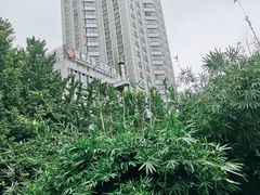 -杭州市第三人民医院