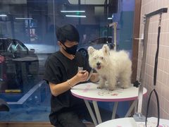 -FAELING PETS美天灵宠物(富力广场店)