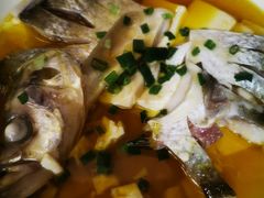 白水鱼-元泰酒店