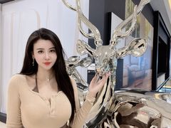 -红星美凯龙北京至尊MALL(东四环中路店)