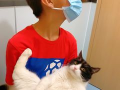 -萌兽医馆·犬猫专科·眼科中心·宠物医院(朝阳门分院)