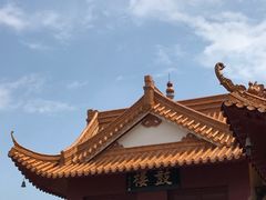 -深圳仙湖植物园