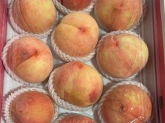 -南汇水蜜桃采摘(大团店)