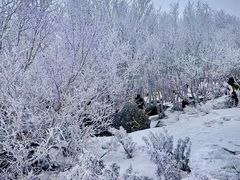-灵山