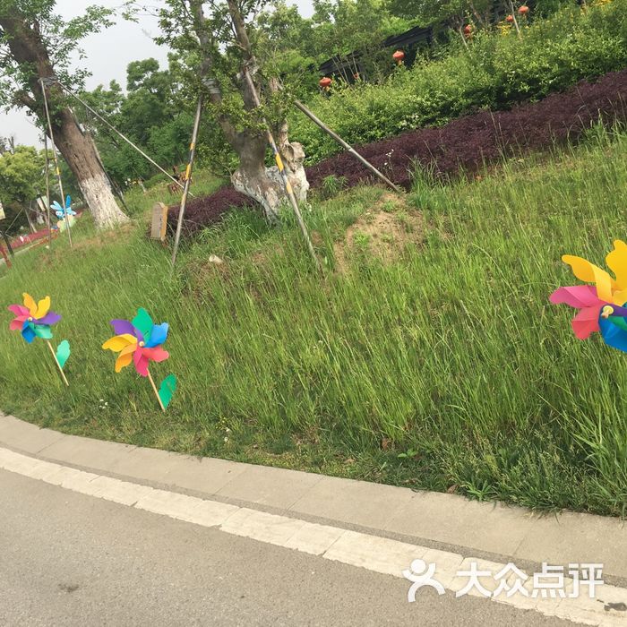 大陽山植物園