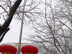 -北陵公园