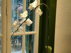 android_upload_pic-Carmen卡门西班牙餐厅