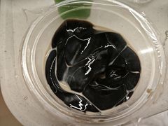 -五福堂龟苓膏(河东北山店)
