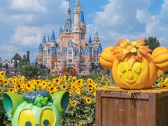 -上海迪士尼度假区