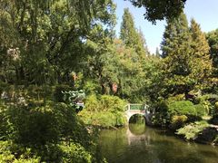 -申粤轩酒楼·三十年粤菜经典(丁香花园店)