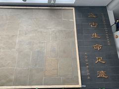 -中国地质大学逸夫博物馆