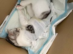 -拜鲁耶动物诊疗中心·宠家动物医院