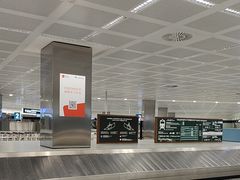 -米兰马尔彭萨国际机场