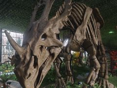 -诸城市恐龙博物馆