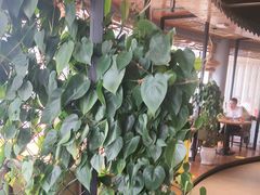 -盐帮食坊•小河帮川菜(四川师大店)