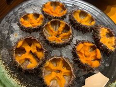 -月龍吟(朝龙汇店)