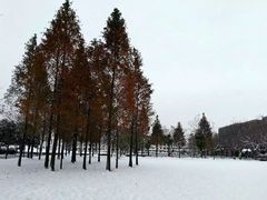 -徐州开放大学(拖龙山校区)