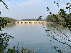 -昆山城市生态森林公园