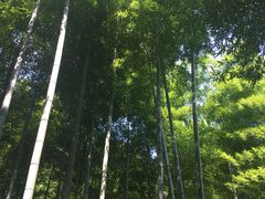 -山沟沟景区