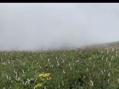 -白草畔自然风景区