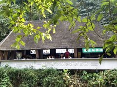 -西双版纳原始森林公园