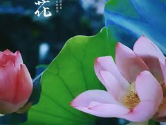 -烈士陵园(地铁站)