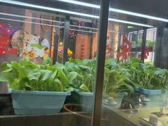 -番食园鲜食火锅(高新店)