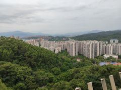 -福道