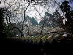-七曲山风景区