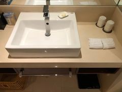 -电谷雅阁国际大酒店