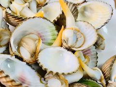 鸡腿螺-蓝湾碧波·老字号·疍家非遗海上餐厅