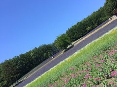 iphone_upload_pic-富田农场