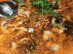 -光海·乡记酸菜鱼·始于1996(花园路店)