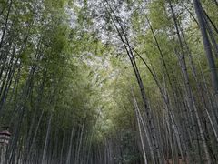 -苏州环秀晓筑养生度假村