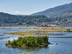 -腾冲北海湿地